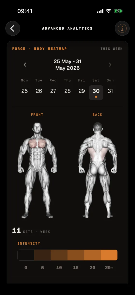 Delta progress — body heatmap